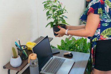Evindeki bitkilerle ilgilenen bir kadın. Şehir Ormanı