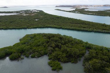 Çöldeki punta gallinas ve mangrov gölleri.