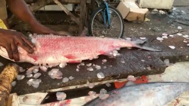 Balıkçı sokakta balık temizliyor.