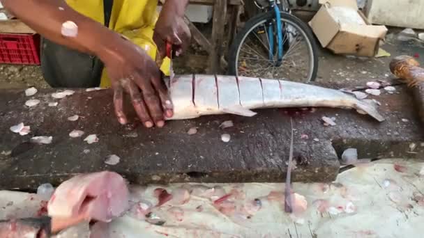 通りで魚を切る男の手 — ストック動画