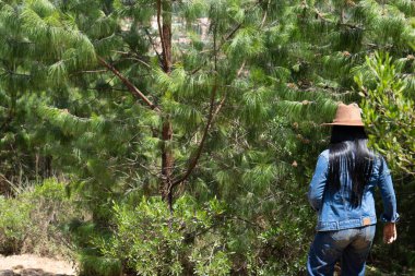 Dağlarda yürüyen kot ceketli Afrikalı kadın..