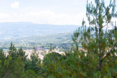 View of the city among the mountain trees