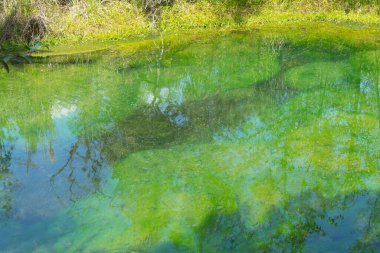 Göle karşı göl manzarası