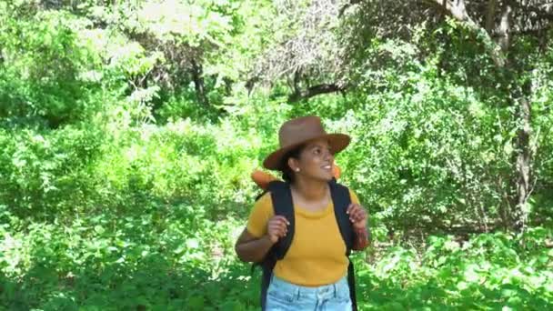 African American Female Backpacker Walks Autumn Green Forest — Vídeo de Stock