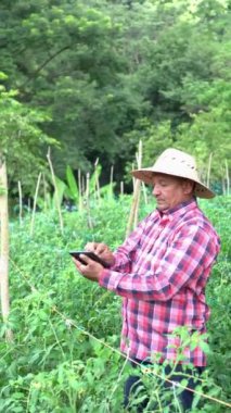 Worker using digital tablet in greenhouse