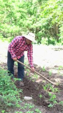 farmer harvesting the soil on his farm using a hoe. Farming lifestyle concepts