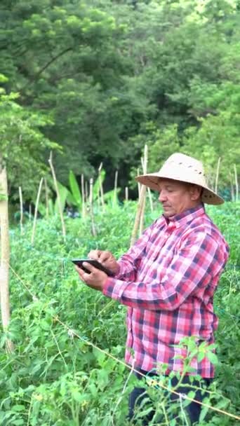 Worker Using Digital Tablet Greenhouse — Wideo stockowe