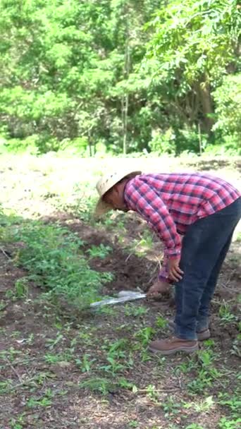 Farmer Harvesting Land His Farm Using Machete Farming Lifestyle Concepts — стоковое видео