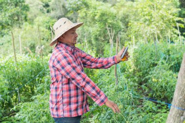 Bir çiftlikte dijital tablet kullanan Hispanik Çiftlik işçisi
