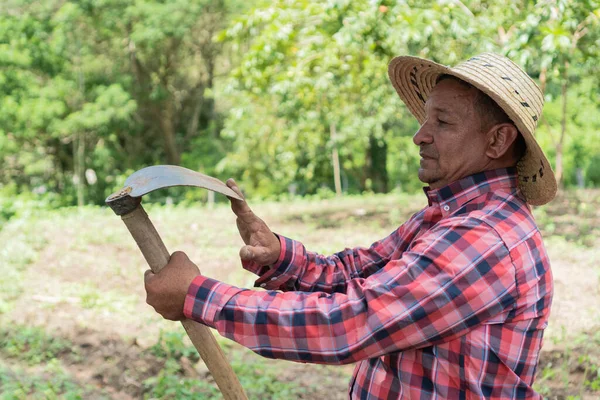 Farmář Pracuje Sadu Kontroluje Své Pracovní Vybavení — Stock fotografie