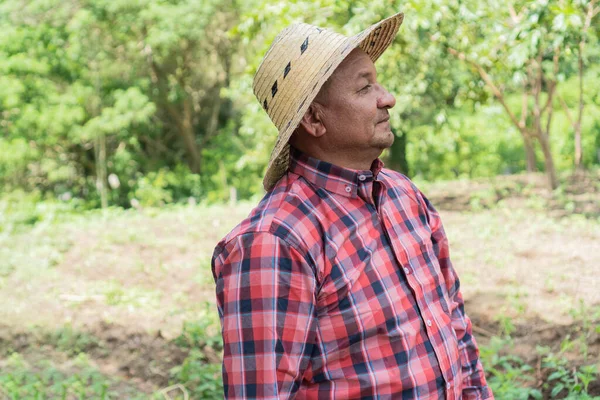 Older Farmer Looking Side Field — Stock Photo, Image