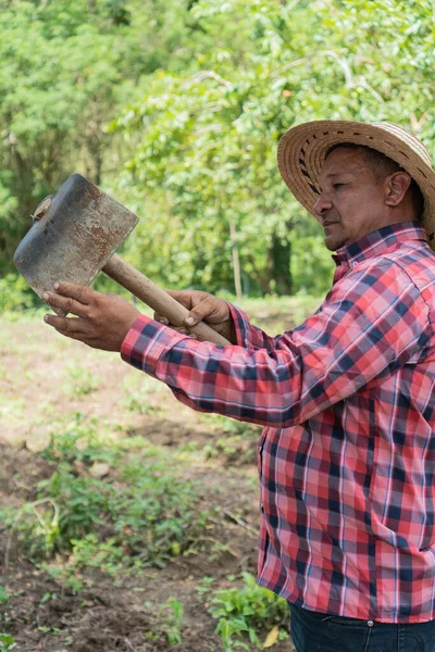 Latinský Farmář Pracuje Sadu Kontroluje Své Pracovní Vybavení — Stock fotografie