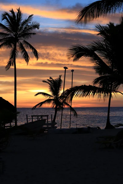 Východ slunce na oceánu přes listy palmy — Stock fotografie