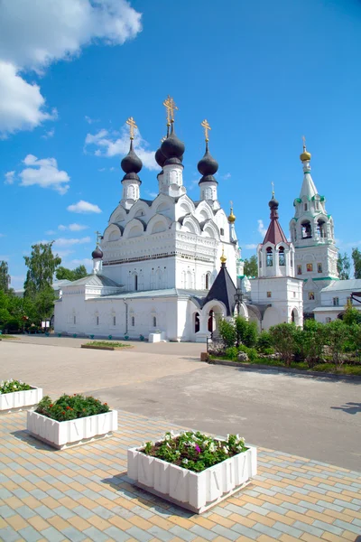 Біла церква з чорними куполами в жіночому монастирі — стокове фото