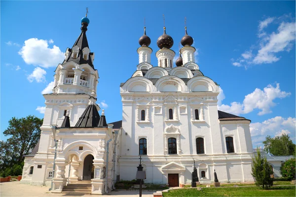 Біла церква з чорними куполами в жіночому монастирі — стокове фото