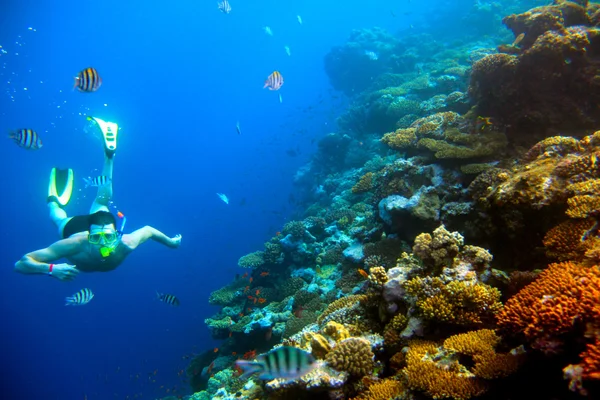 Underwater skytte man, korallrev med tropiska fiskar — Stockfoto