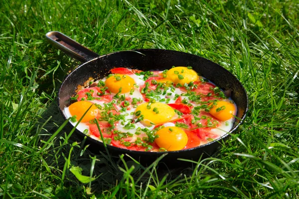 Panela com ovos, cebolas verdes e tomates na grama verde — Fotografia de Stock