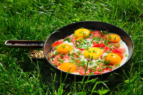 Pan with eggs, green onions and tomatoes on the green grass — Stock Photo, Image