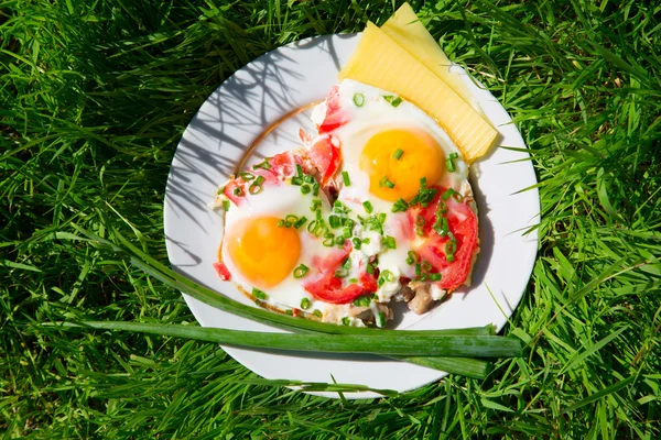 Prato com ovos, cebolas verdes e tomates na grama verde — Fotografia de Stock