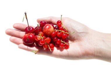 Frenk üzümü ve kiraz beyaz bir arka plan üzerinde tutan kız