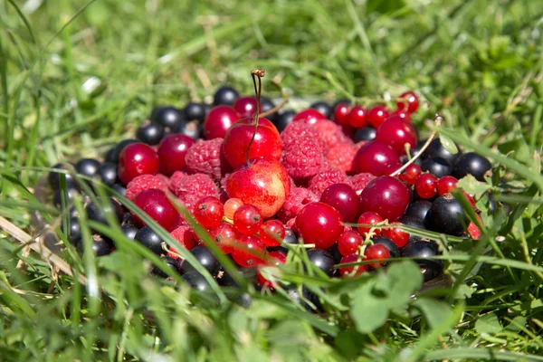 Grosellas de cereza frambuesas en un plato de vidrio sobre una hierba verde —  Fotos de Stock