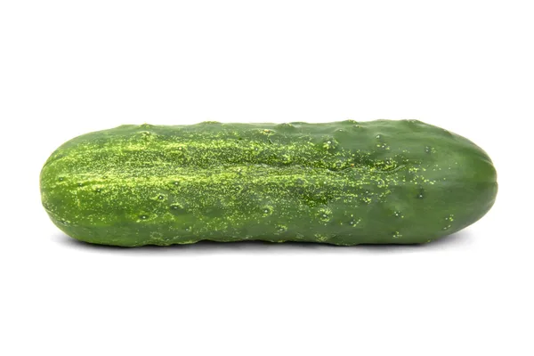 Groene komkommer op witte achtergrond — Stockfoto