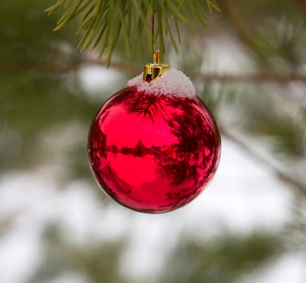 Kerstballen opknoping op een kerstboom bedekt met sneeuw — Stockfoto