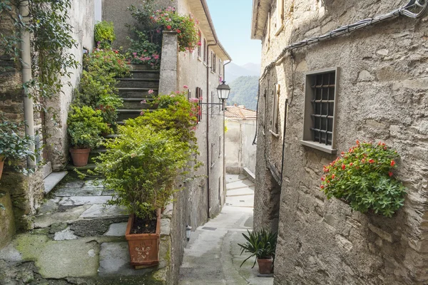 Callejón estrecho — Foto de Stock