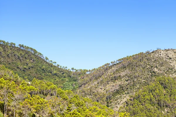 Güzel hill — Stok fotoğraf