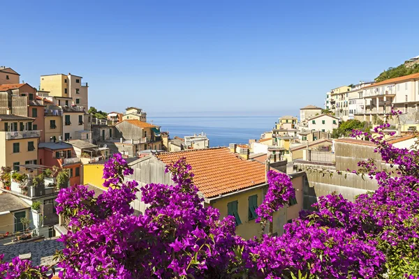 Vue sur la corniglia — Photo