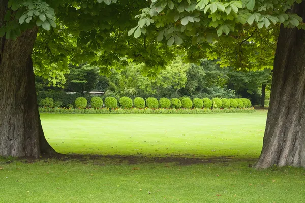 Luxembourg garden — Stock Photo, Image