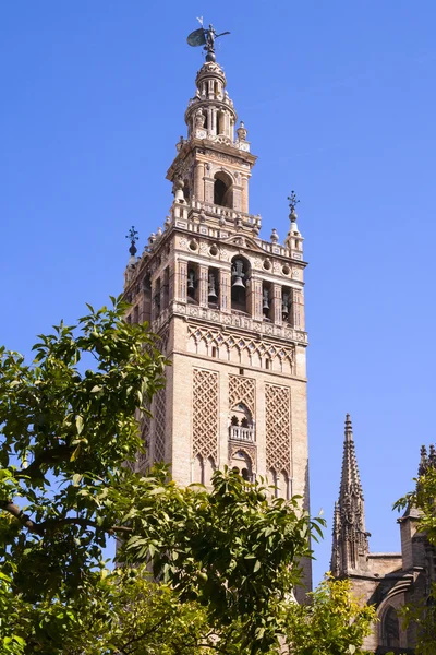 Katedra giralda — Zdjęcie stockowe