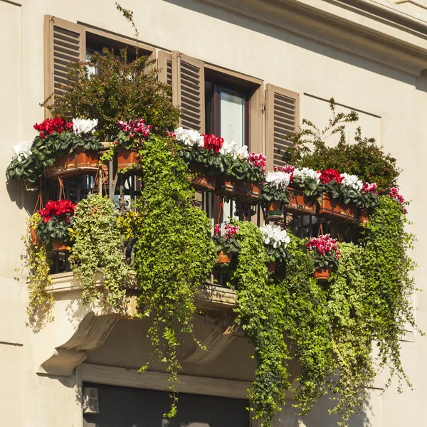 Zelený balkon — Stock fotografie