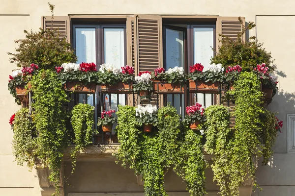 Zelený balkon — Stock fotografie