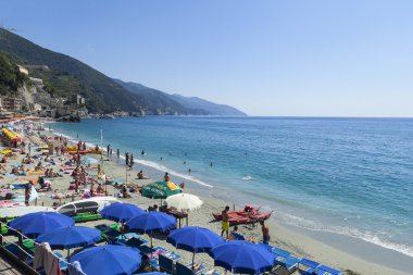 Monterosso sahil