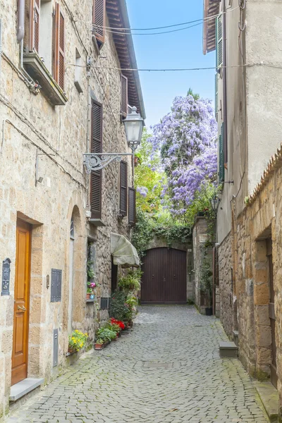 Callejón estrecho — Foto de Stock