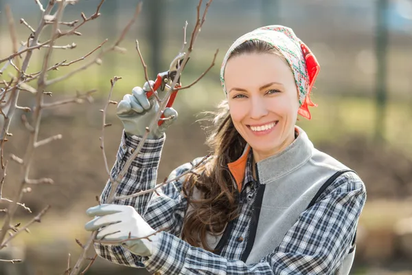 Mujer jardinero — Foto de Stock