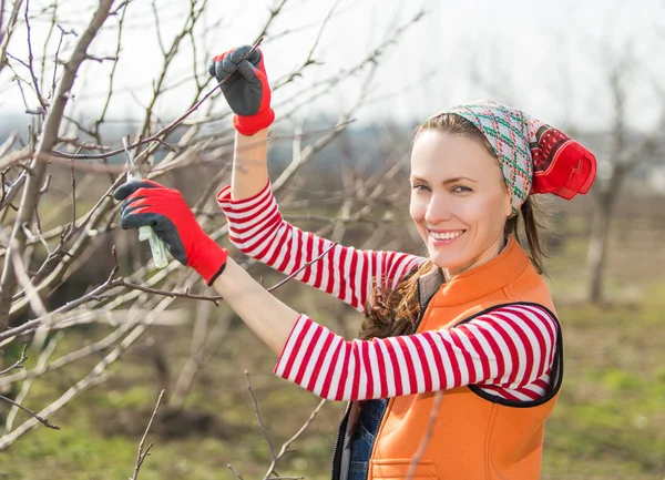 Mladá žena zahradník pracuje — Stock fotografie