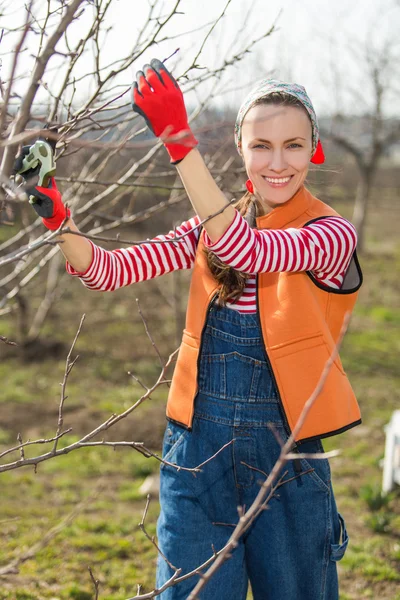 Hübsche junge Frau bei der Gartenarbeit — Stockfoto