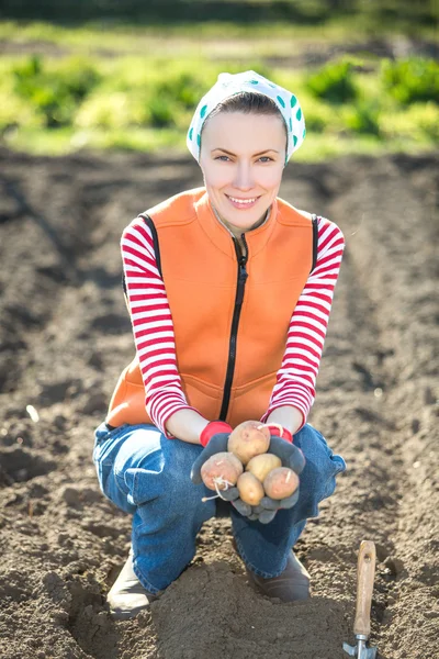 Kvinna plantera potatis — Stockfoto