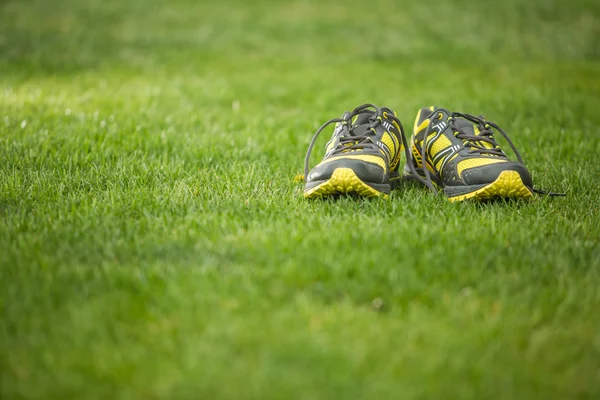Running shoes on green grass — Stock Photo, Image
