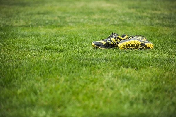 Running shoes on green grass — Stock Photo, Image