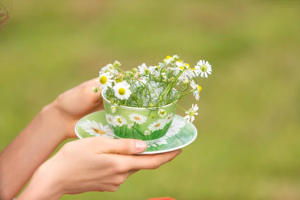 Bylinný čaj s květy heřmánku — Stock fotografie