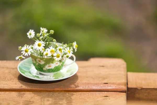 Té de manzanilla de hierbas —  Fotos de Stock