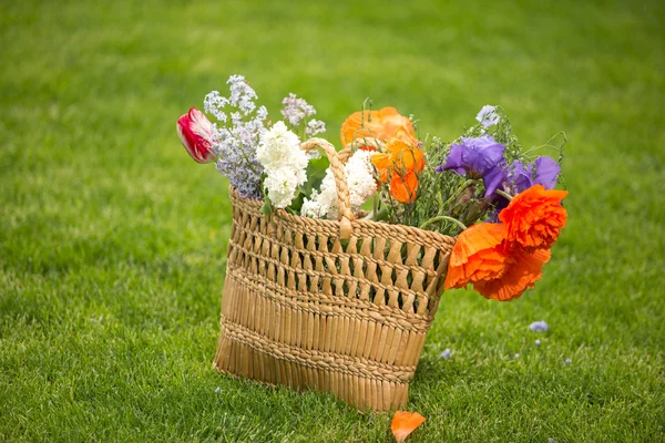 Hermosas flores en una cesta —  Fotos de Stock