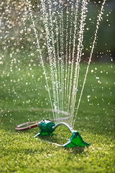 Gras sprinkler — Stockfoto