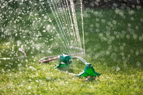 Gras sprinkler — Stockfoto