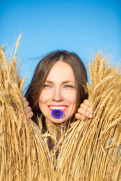 Mulher bonita no campo de trigo — Fotografia de Stock