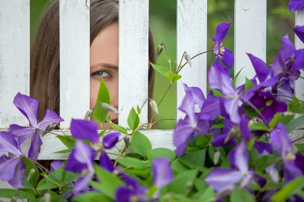 Špionáž přes dřevěný plot — Stock fotografie