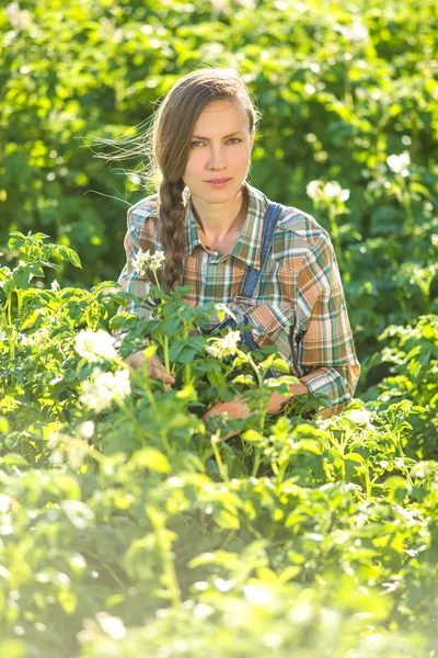 Giardinaggio donna — Foto Stock